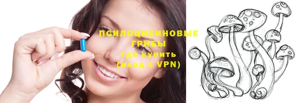 трава Инта