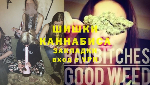 ГАЛЛЮЦИНОГЕННЫЕ ГРИБЫ Зеленокумск