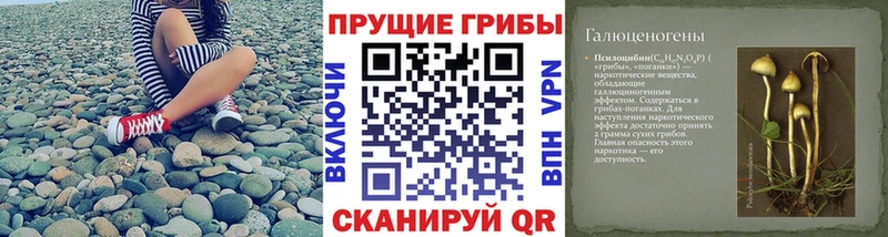 Псилоцибиновые грибы Psilocybine cubensis  Купить где  Володарск 